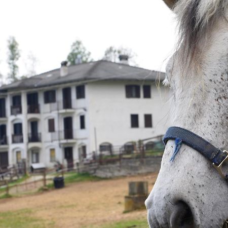 לינה וארוחת בוקר Rueglio Favetto Family Ranch מראה חיצוני תמונה