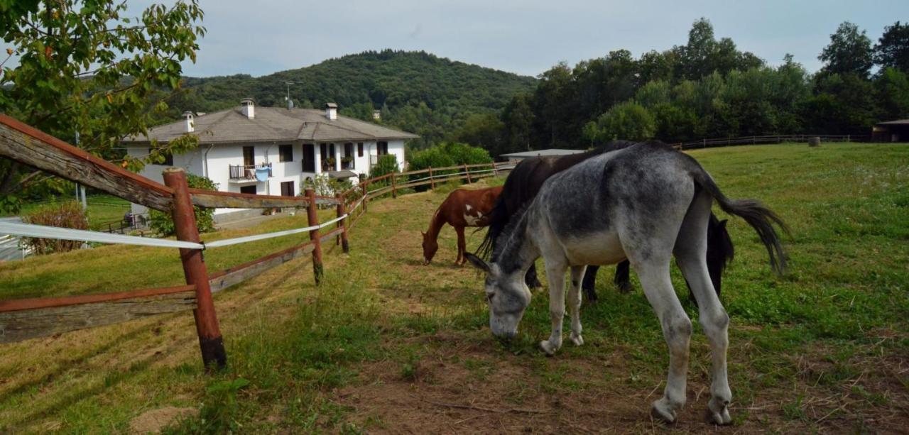 לינה וארוחת בוקר Rueglio Favetto Family Ranch מראה חיצוני תמונה