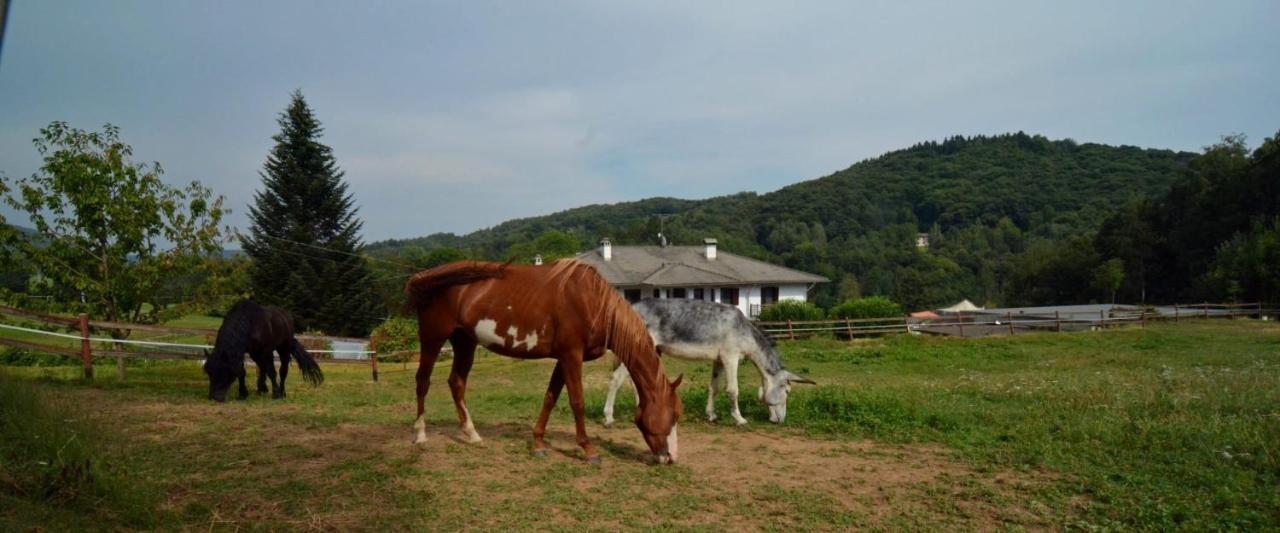 לינה וארוחת בוקר Rueglio Favetto Family Ranch מראה חיצוני תמונה