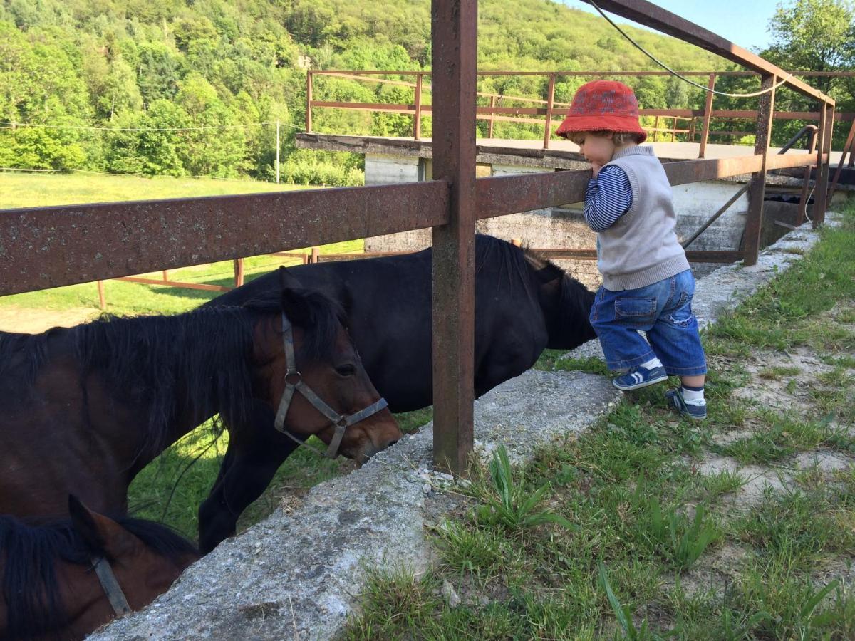 לינה וארוחת בוקר Rueglio Favetto Family Ranch מראה חיצוני תמונה